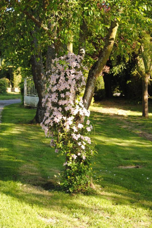 Chambre D'Hotes Murielle Bed & Breakfast Hattenville Exterior photo